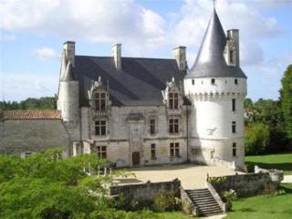 Chateau De Crazannes Екстер'єр фото